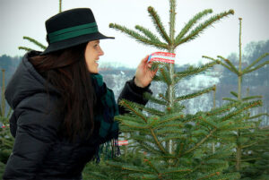 weihnachtsbaum-kaufen.jpg